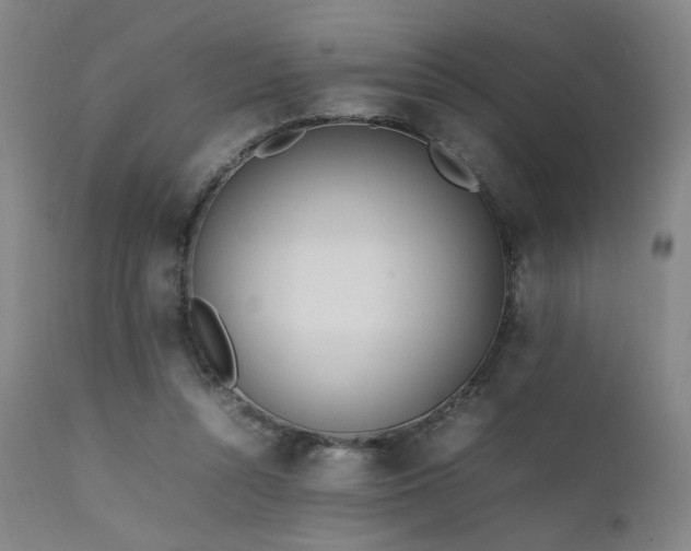 X0000111500352200907141318