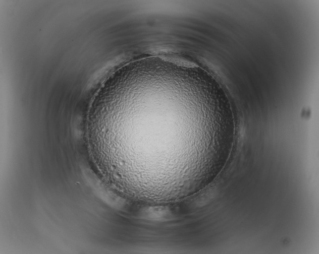 X0000111500353200907141318