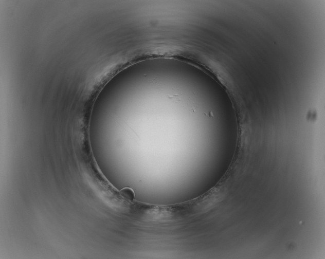 X0000111500354200907141318
