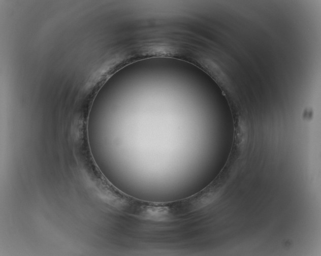 X0000111500355200907141318