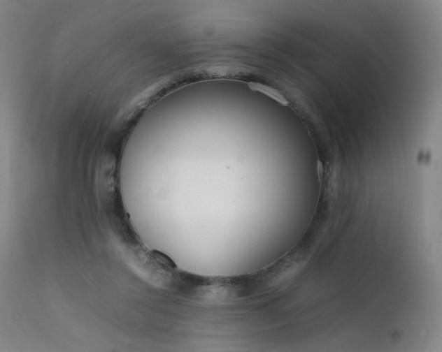 X0000111500356200907141318