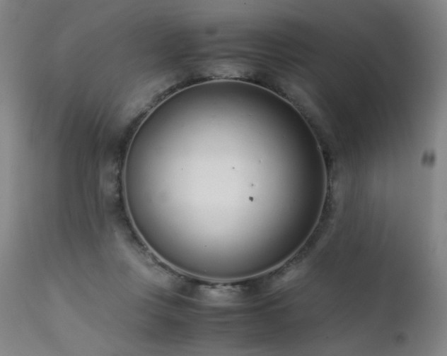 X0000111500359200907141318