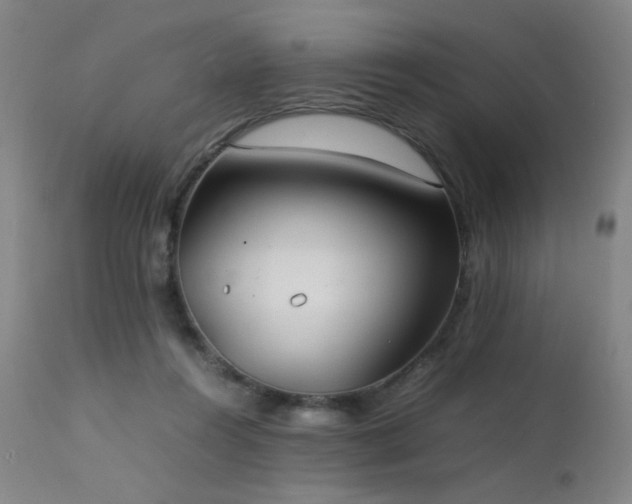 X0000111500360200907141318