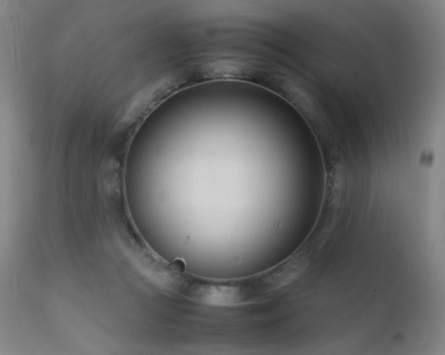 X0000111500361200907141318