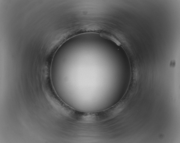 X0000111500362200907141318