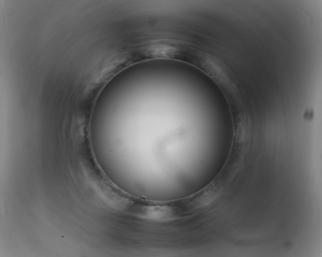 X0000111500363200907141318
