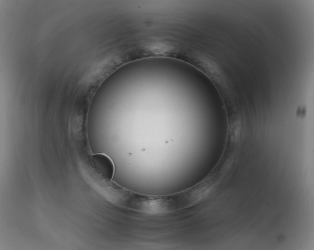 X0000111500365200907141318