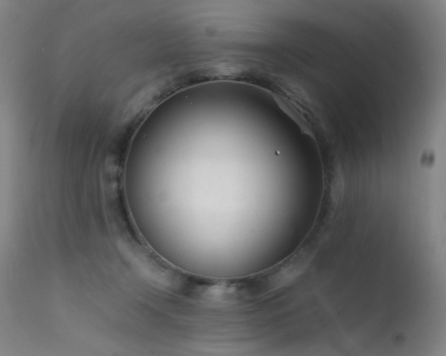 X0000111500366200907141318