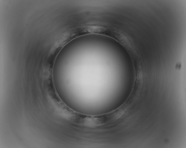 X0000111500367200907141318