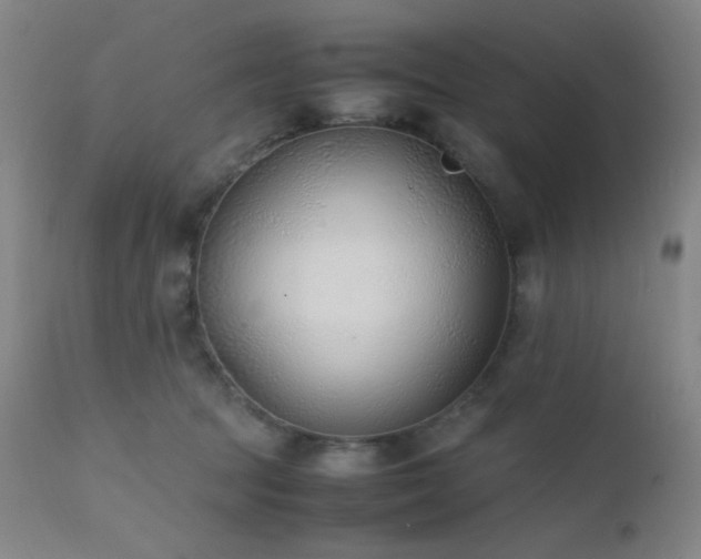 X0000111500369200907141318