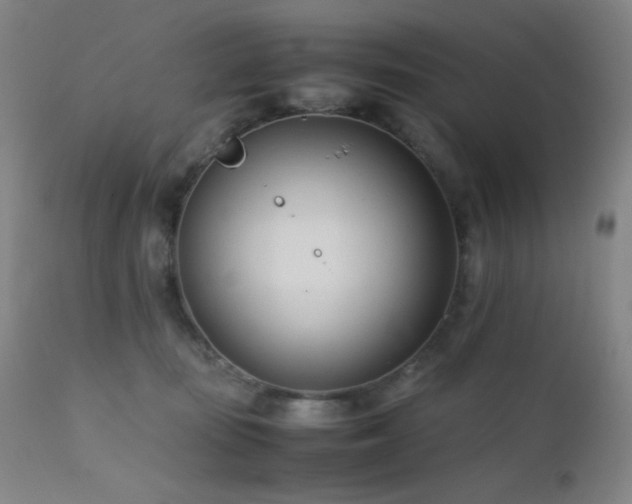 X0000111500371200907141318