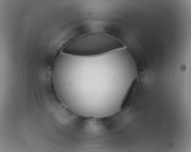 X0000111500372200907141318