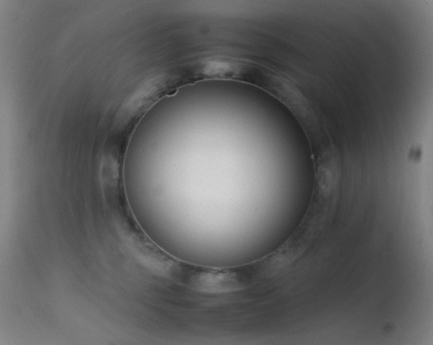 X0000111500375200907141318