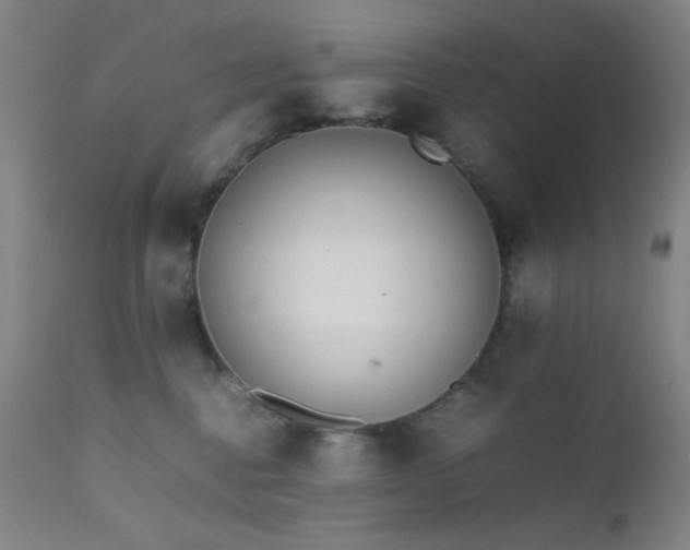 X0000111500376200907141318