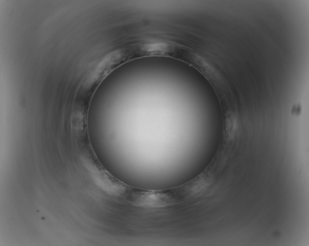 X0000111500379200907141318