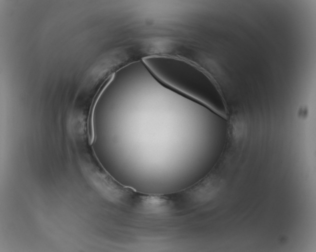 X0000111500380200907141318