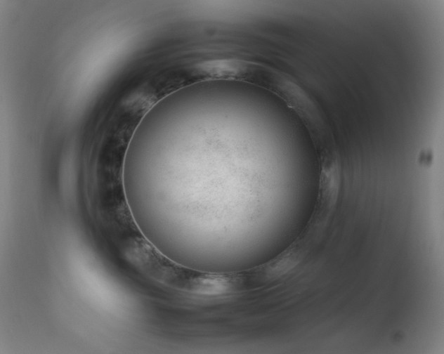 X0000111500381200907141318