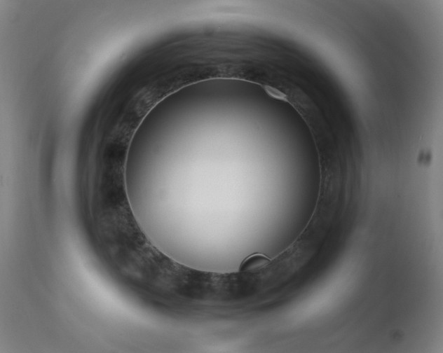 X0000111500383200907141318