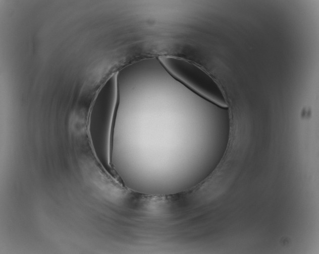 X0000111500384200907141318