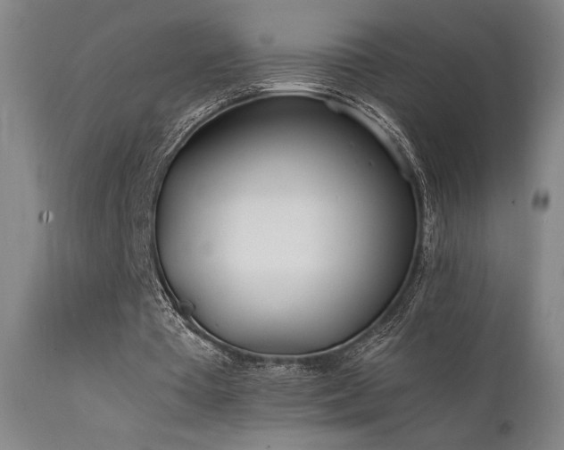 X0000111500385200907141317