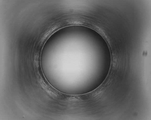 X0000111500386200907141317