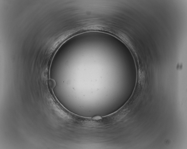 X0000111500389200907141317