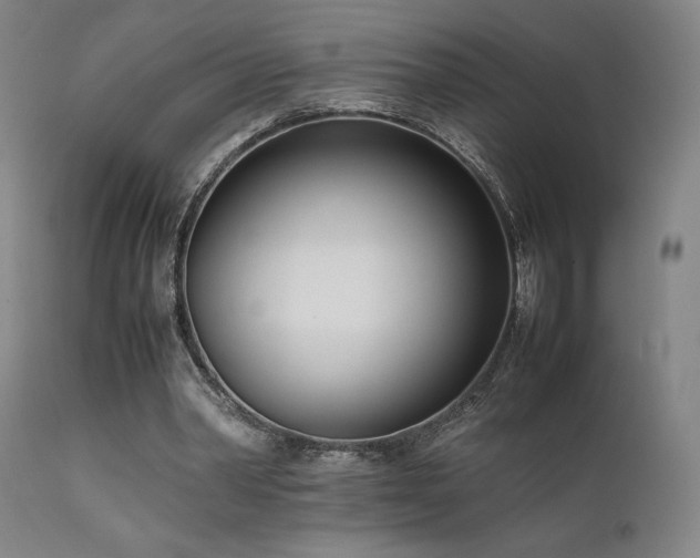 X0000111500390200907141317