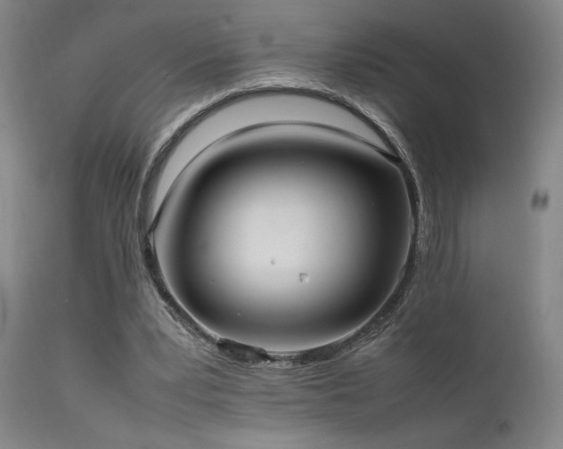X0000111500391200907141317