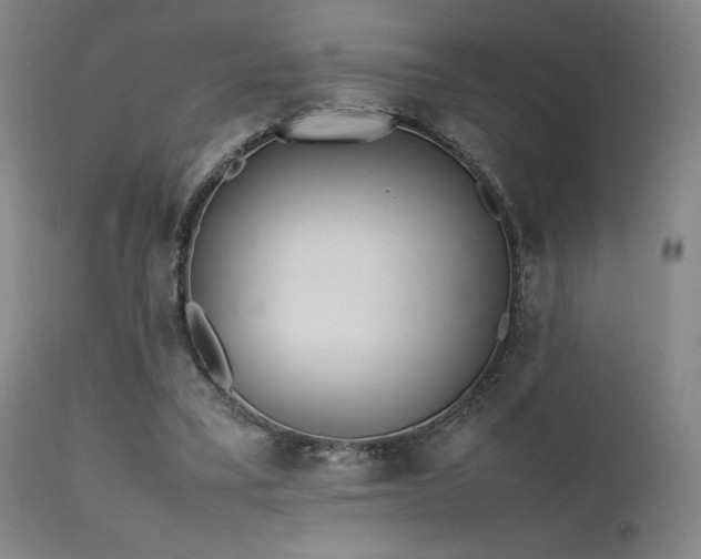 X0000111500395200907141317
