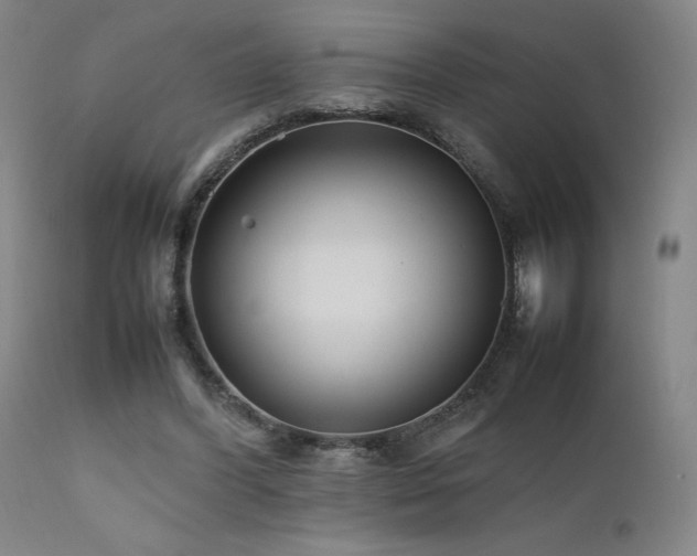 X0000111500396200907141317