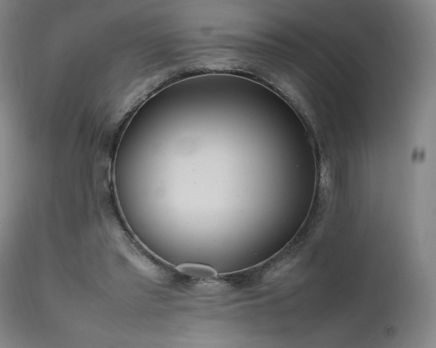 X0000111500397200907141317