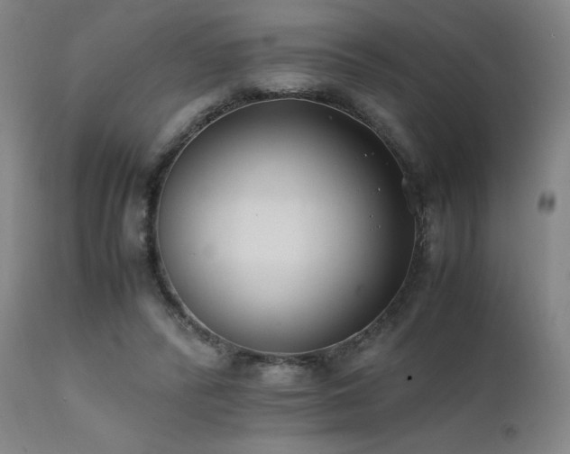 X0000111500400200907141317