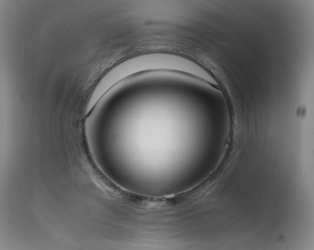 X0000111500401200907141317