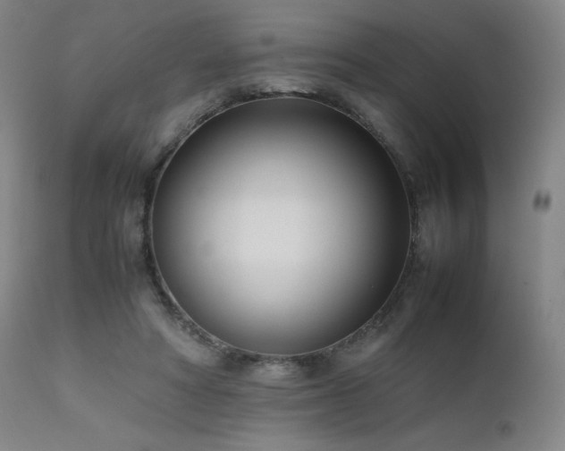 X0000111500402200907141317
