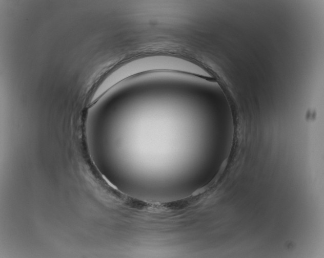 X0000111500403200907141317