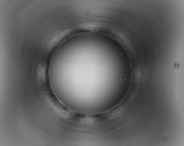 X0000111500404200907141317