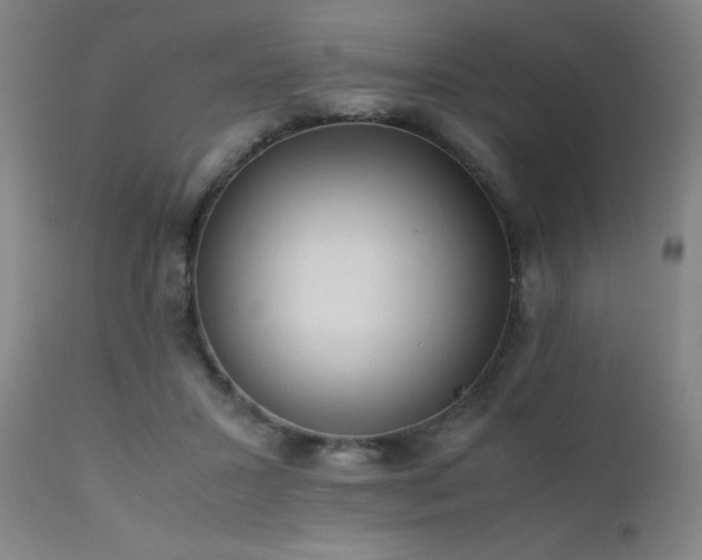 X0000111500407200907141317
