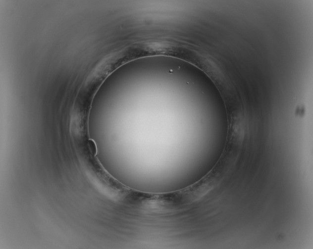X0000111500408200907141317