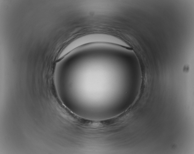 X0000111500409200907141317
