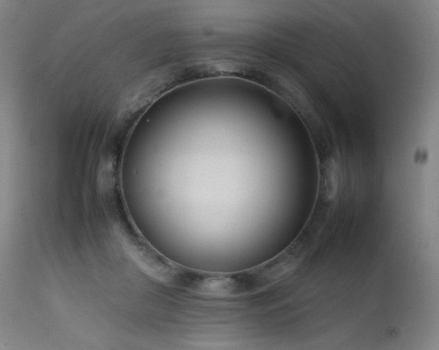 X0000111500410200907141317