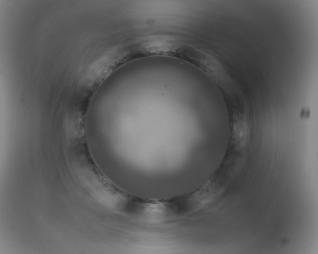 X0000111500411200907141317