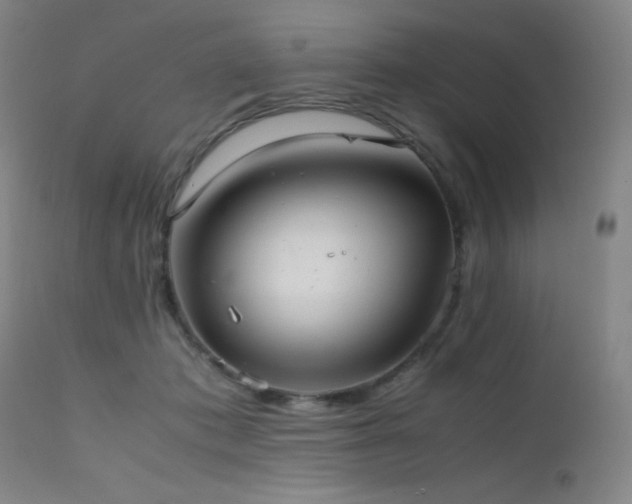 X0000111500413200907141317
