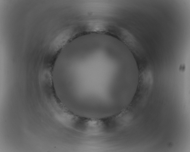 X0000111500415200907141317