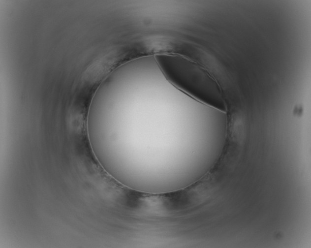X0000111500417200907141317