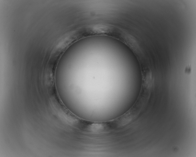 X0000111500418200907141317