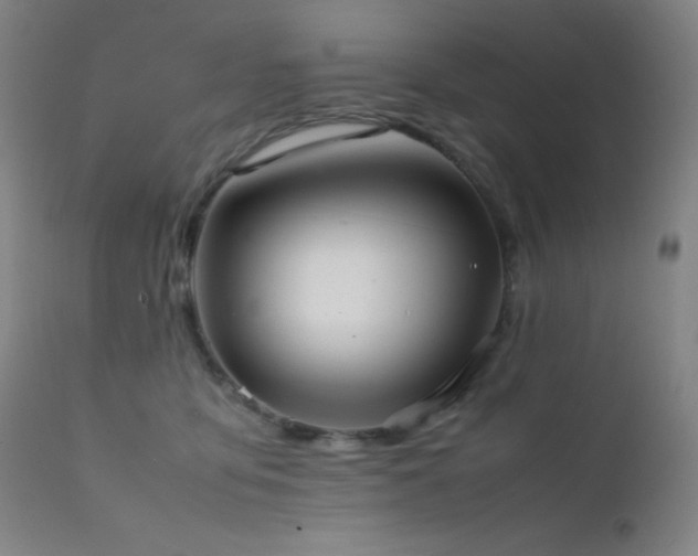 X0000111500419200907141317
