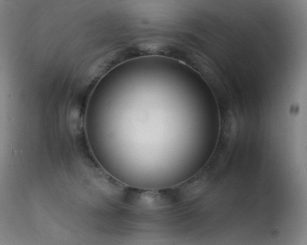 X0000111500420200907141317