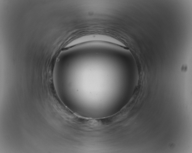 X0000111500421200907141317