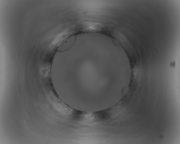 X0000111500423200907141317