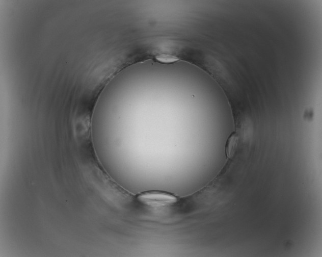 X0000111500425200907141317